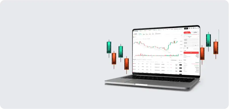 Получите доступ к вашим сделкам, графикам и позициям на единой безопасной платформе напрямую через браузер.